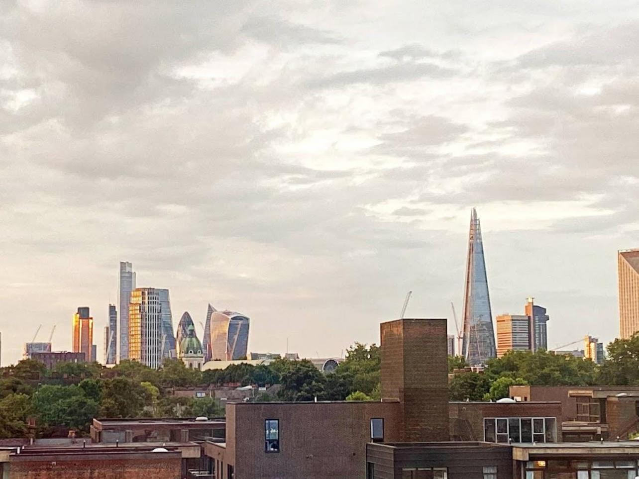 Spacious Room With City Skyline Views Close To London Eye 外观 照片